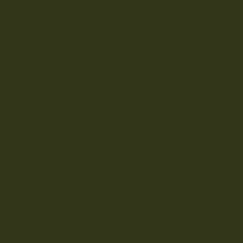 Vert forêt (4209)